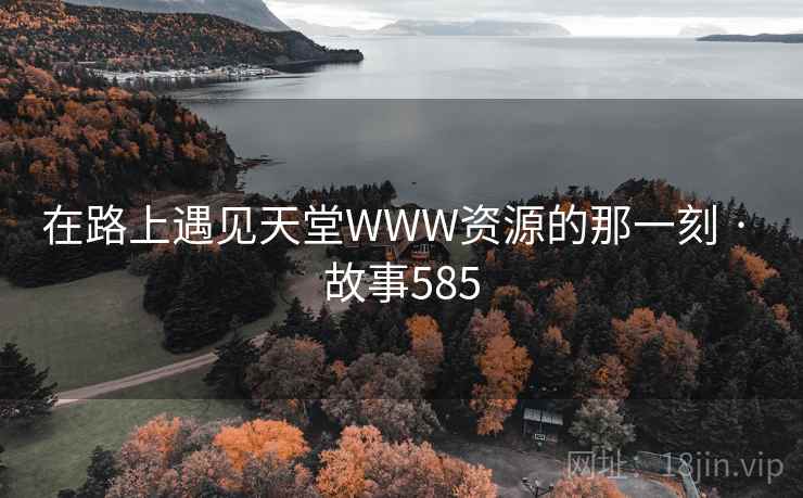 在路上遇见天堂WWW资源的那一刻 · 故事585  第2张