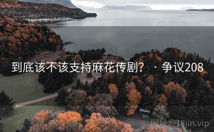 到底该不该支持麻花传剧？ · 争议208  第2张