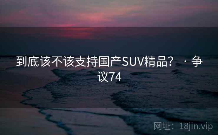 到底该不该支持国产SUV精品？ · 争议74  第1张