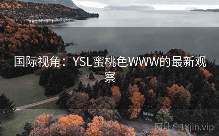 国际视角:YSL蜜桃色WWW的最新观察 第2张 国际视角:YSL蜜桃色WWW的最新观察 第2张